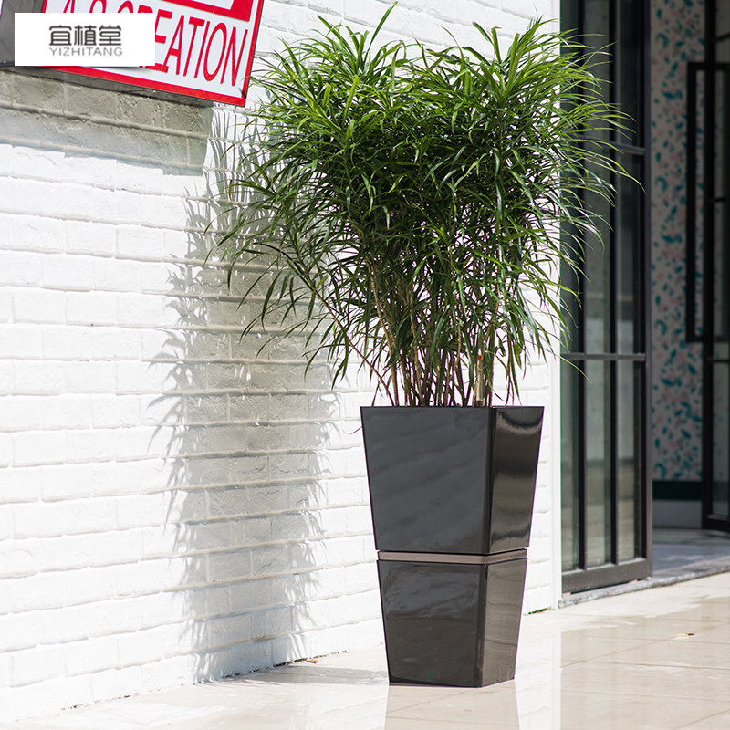 4012 宜植堂自动吸水花盆组合自动浇水高档烤漆智能花盆